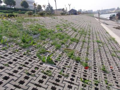 生態(tài)聯(lián)鎖護(hù)坡